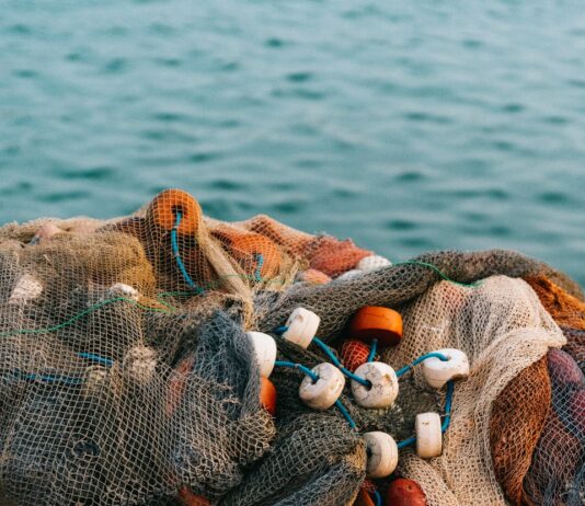 고수온 예비특보 발령 수온 낮춘다…어업인 대비 시간 확보 white and gray fish net