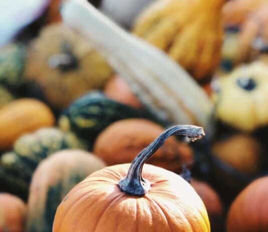 가을철 다이어트, 효과적인 체중 관리법과 운동 추천 focus photography of pumpkin