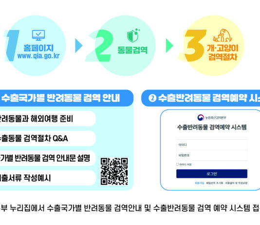 반려동물과 함께하는 해외여행, 출국·입국할 때 ‘검역’은 필수!