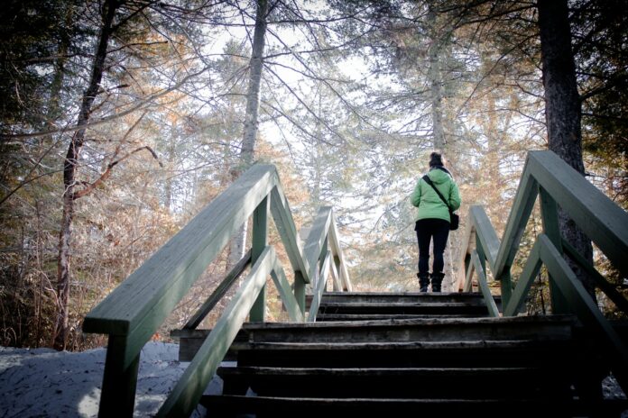 a woman walking up a set of stairs in the woods