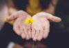 스트레스, 내 일상 속 작은 변화로 관리하기 selective focus photography of woman holding yellow petaled flowers