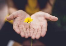 스트레스, 내 일상 속 작은 변화로 관리하기 selective focus photography of woman holding yellow petaled flowers