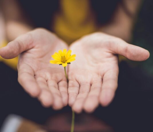 스트레스, 내 일상 속 작은 변화로 관리하기 selective focus photography of woman holding yellow petaled flowers